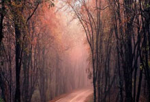 DeFi Tokens: 2025 After October's Crash: The 'Recovery' Illusion & Your Portfolio's Fate