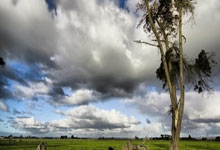 Meta Stock Price: What the Data Reveals